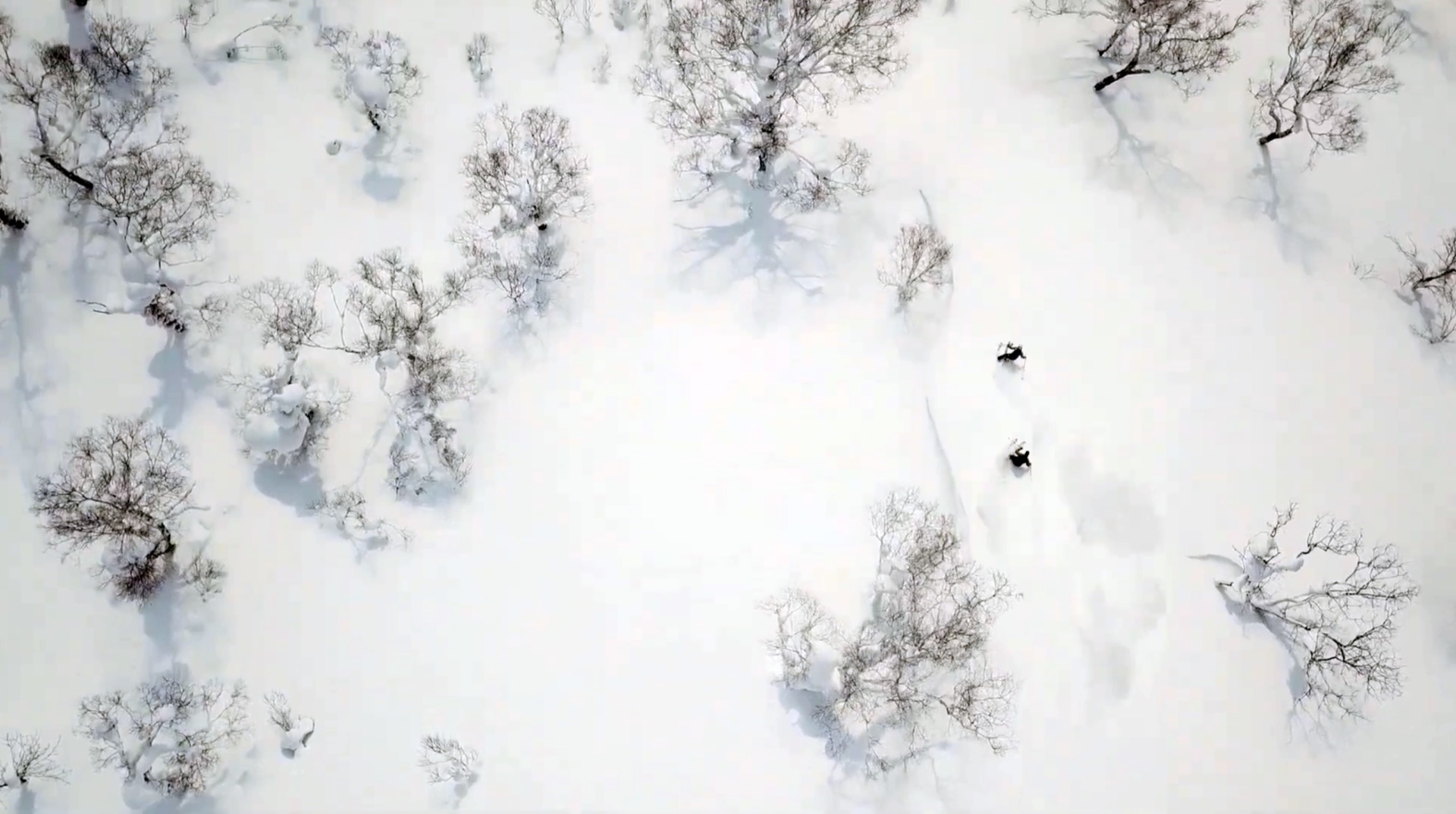 Escape to Japan — Niseko