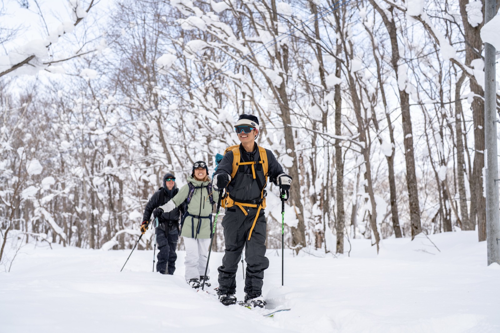 Guided ski touring through the trees