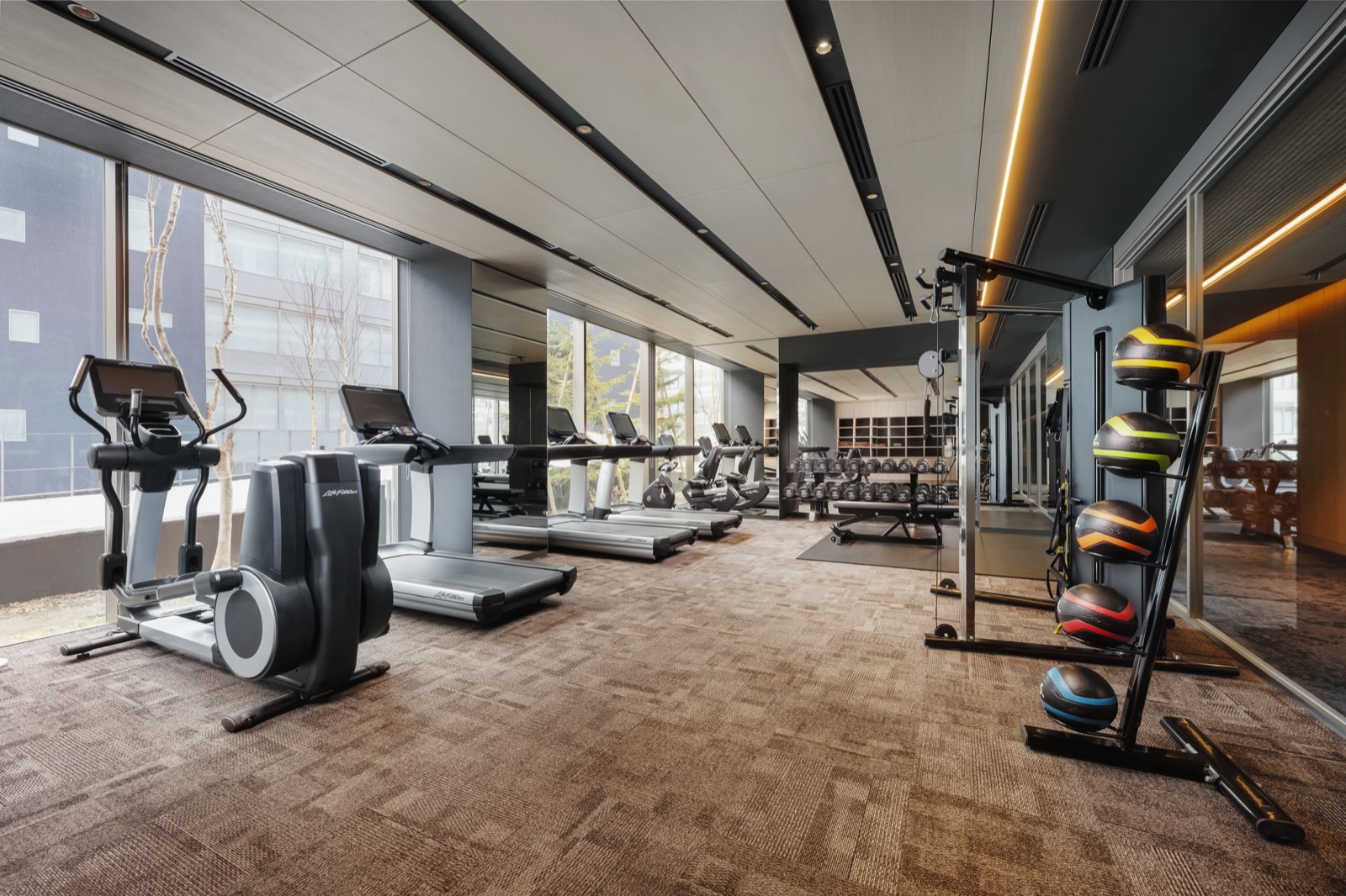 Setsu Niseko gym